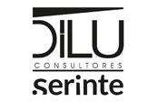 Dilu Consultores